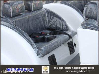 2015新款新能源汽车驰力风系列六座