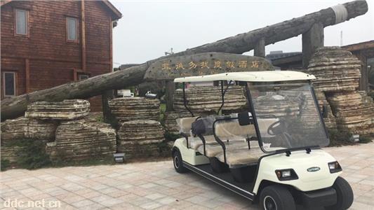 11座电动高尔夫球车