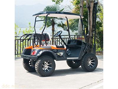 傲森2人座越野电动高尔夫球车