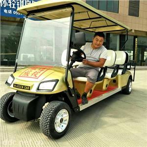 傲森品牌直销香槟色8座电动高尔夫车