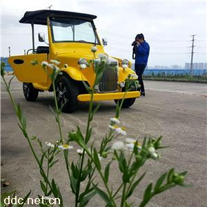 傲森黄色4座电动老爷车