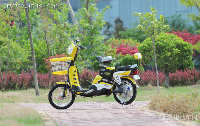 绿源电动车简易系列JYY2-4R4812-G2舞蝶