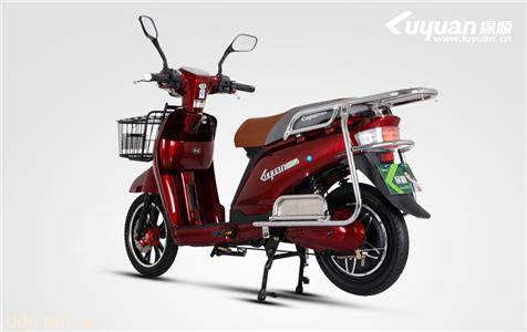 绿源豪华款电动车-星典G-QZB-5T4820-Z1