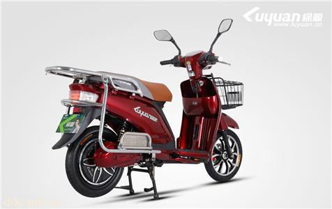 绿源豪华款电动车-星典G-QZB-5T4820-Z1
