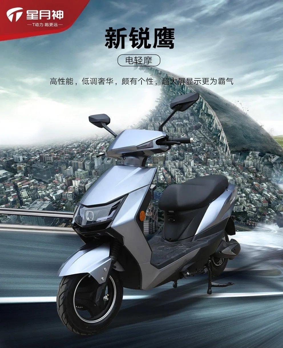 长沙星月神新锐鹰电动车经销店